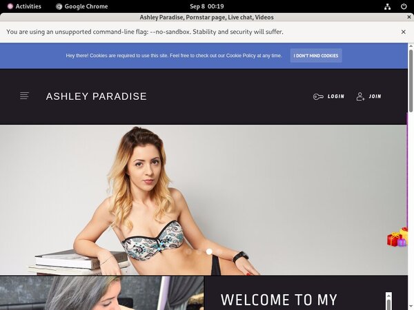 Ashleyparadise.modelcentro.com Mobile Pass