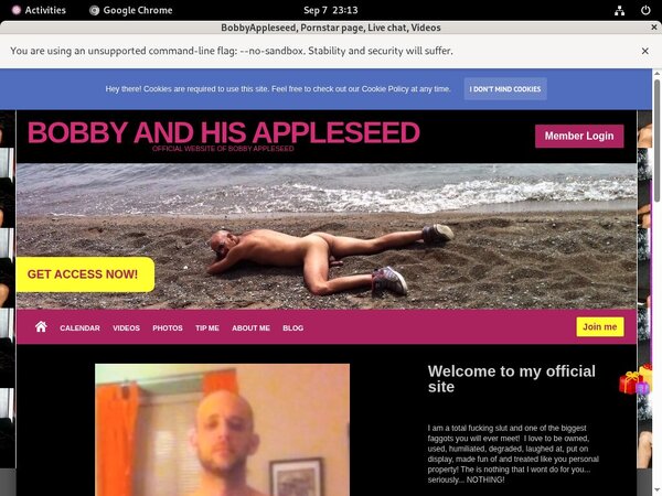 Bobbyappleseed.modelcentro.com Site Rip