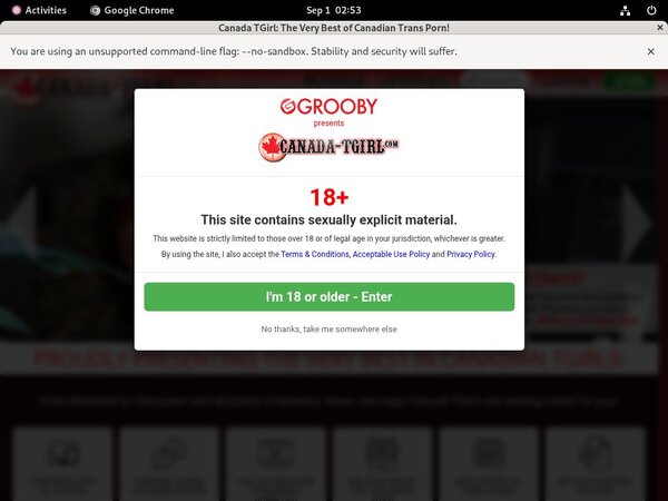 Canada TGirl Password Generator