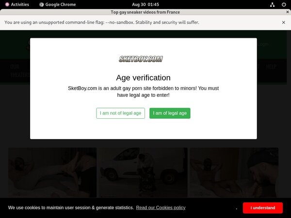 Logins For Sket Boy Free Logins For Sket Boy Free