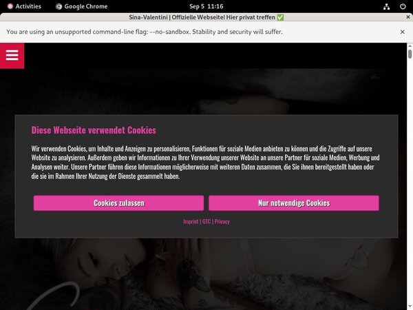 Sina Valentini Xxx Video