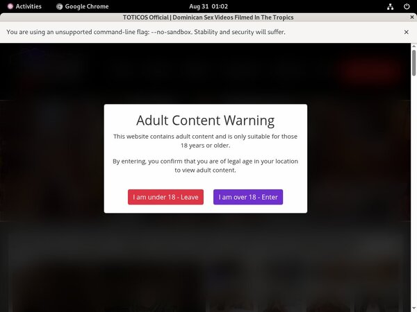 Totico's Epoch Paypal