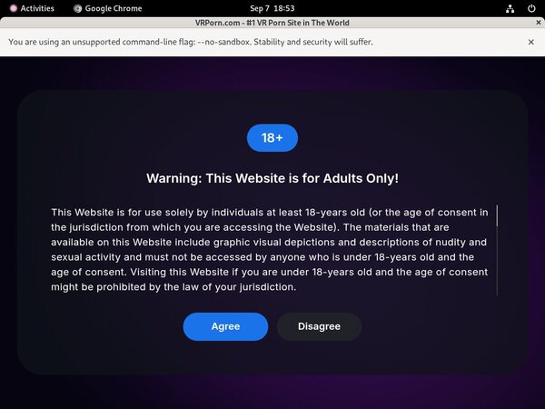 VR Porn Site Rip 2018 VR Porn Site Rip 2018