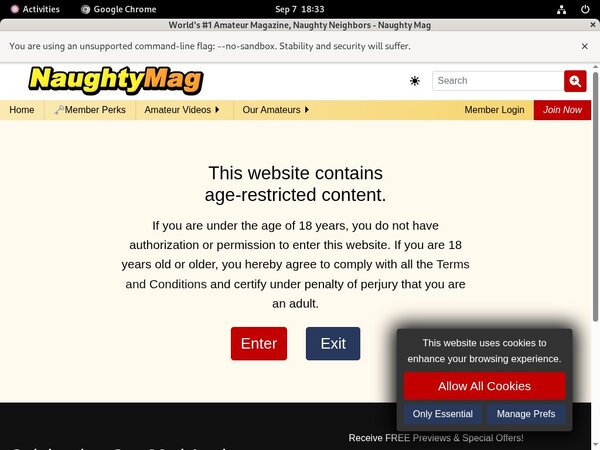 Valid Naughty Mag Passwords