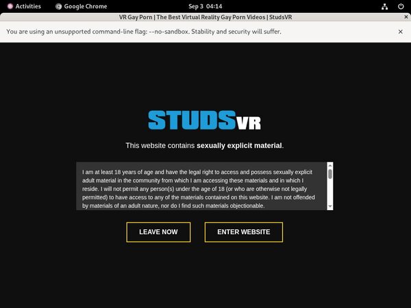Working Studs VR Password