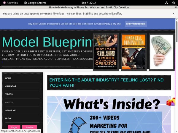 AmberlyPSO Free Premium Passwords