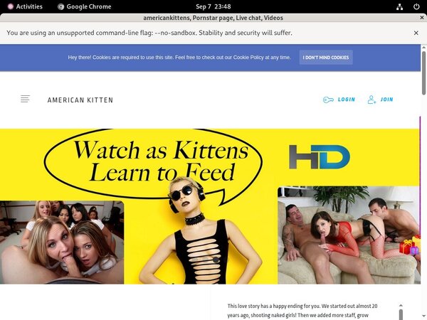 Americankittens Free Passwords