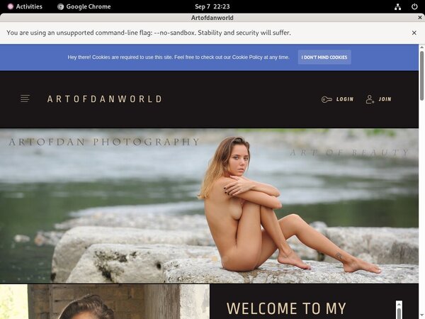 Artofdanworld Trial Link