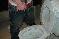 Boys Pissing Adult s1