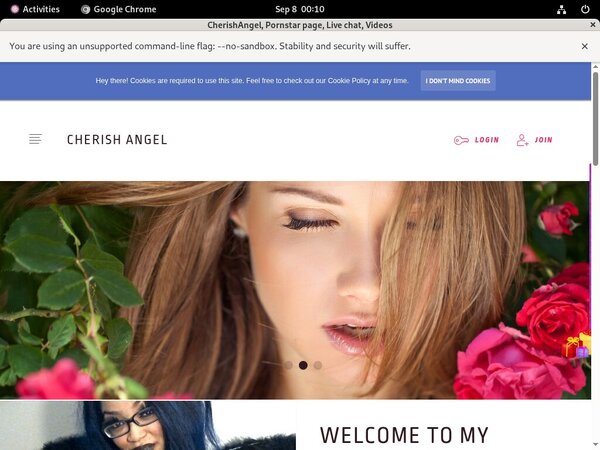 CherishAngel Payment Form
