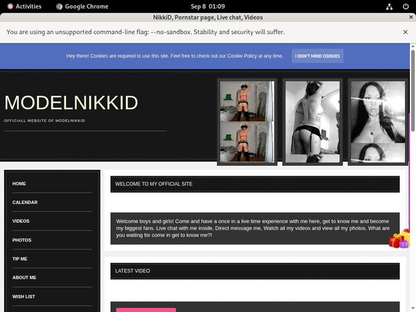 Discount Offer ModelNikki