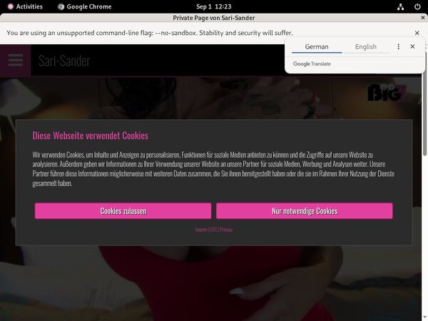 Discount Offer Sari Sander