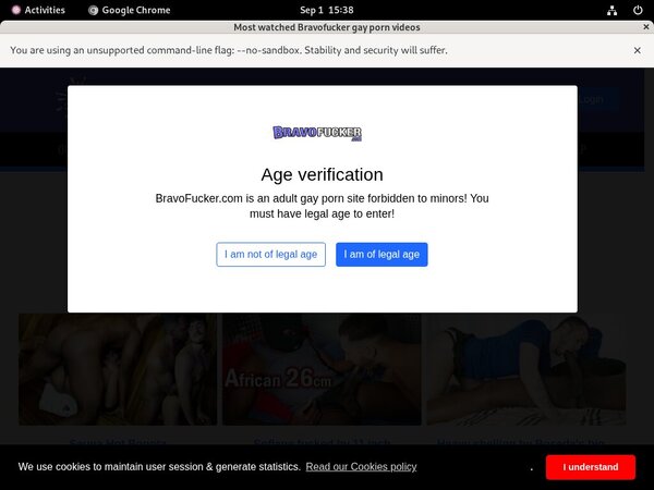 Dl Bravo Fucker Site Rip