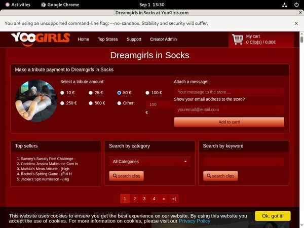 DreamgirlsInSocks Discount Password