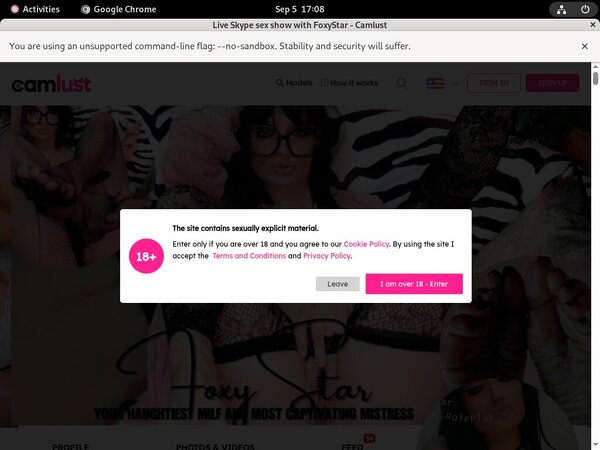 FoxyStar Premium Pass