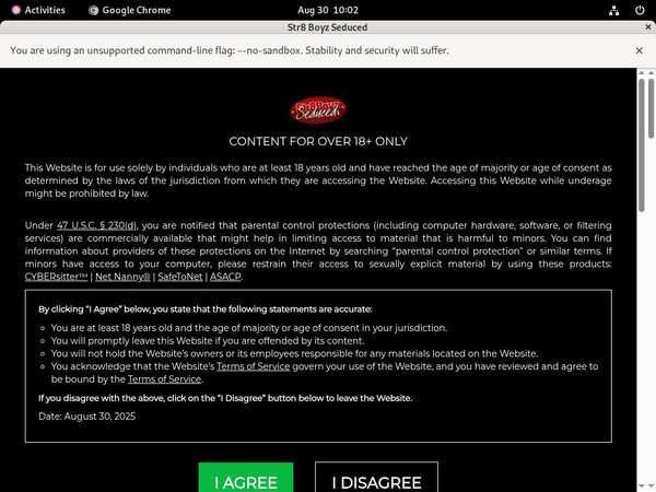 Free Pass For Str8boyzseduced.com