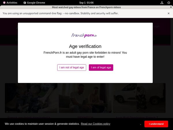 Frenchporn.fr Review Site