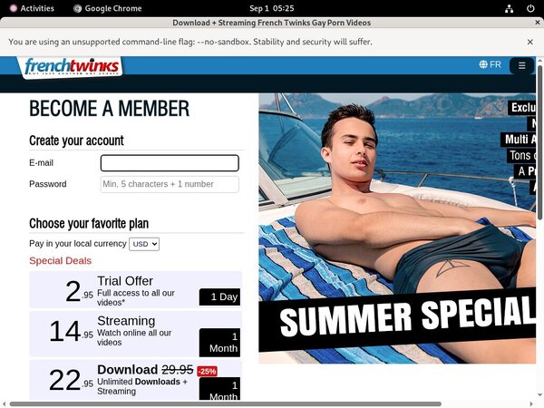 French-twinks.com Discount (up To 70%)