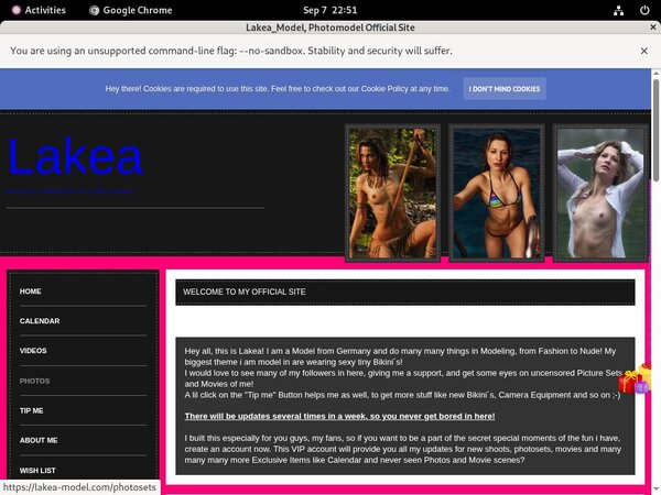 [Image: Get-LakeaModel-Trial-Free.jpg]