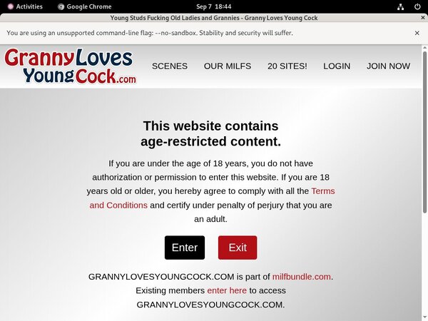 Grannylovesyoungcock.com Free Login Password