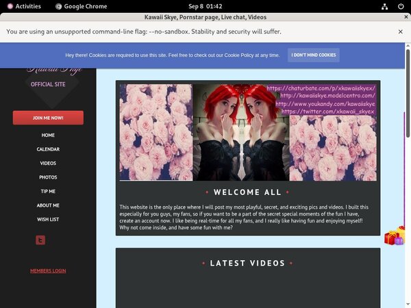 Kawaii Skye Password And Login