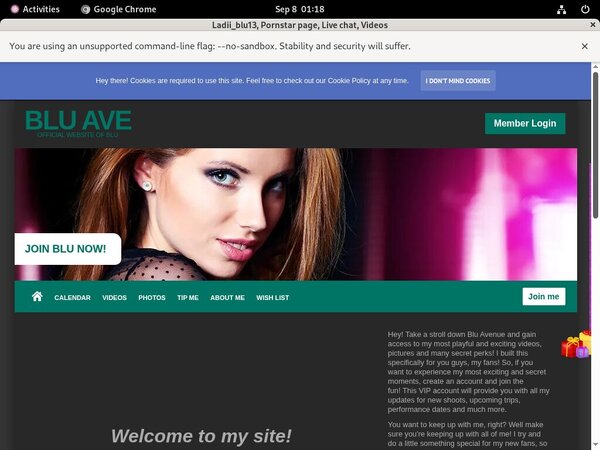 Ladii_blu13 Renew Membership
