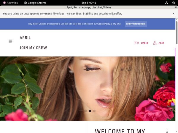 Ladyapril.modelcentro.com Get Account