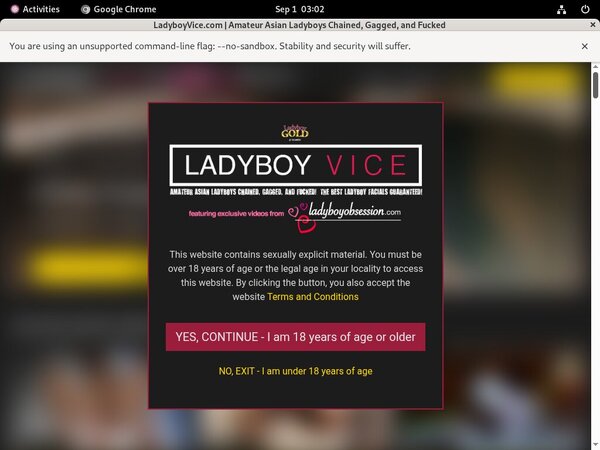Ladyboy Vice Discreet Billing