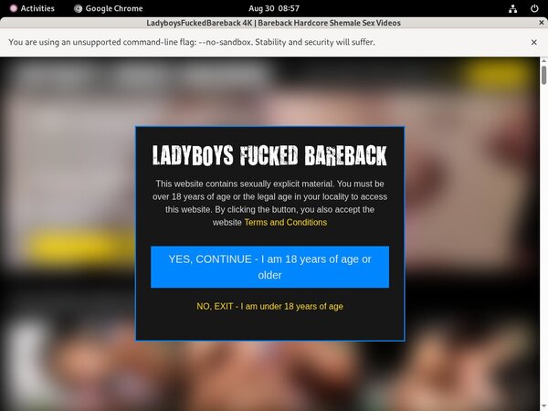 Ladyboys Fucked Bareback Rocketgate Ladyboys Fucked Bareback Rocketgate