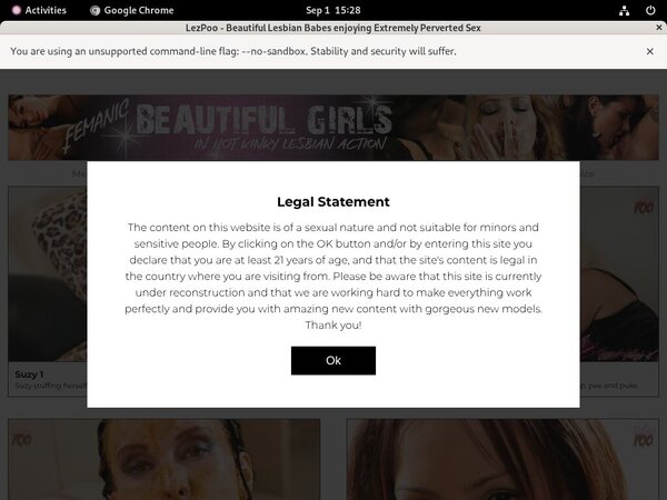 Lez Poo Web Billing