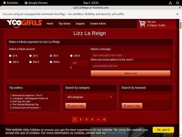 Lizz La Reign Stolen Password