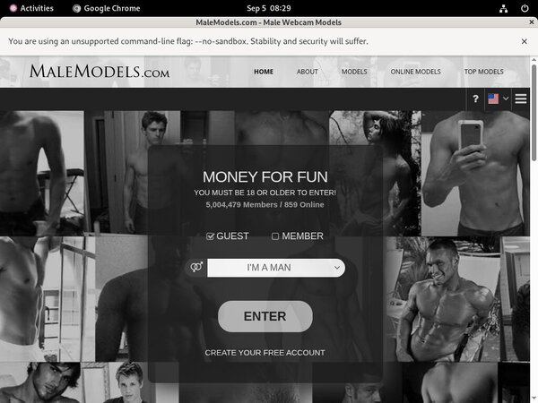 Male Models Promo Tour