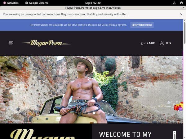 [Image: Mugursworld-Pornhub.jpg]