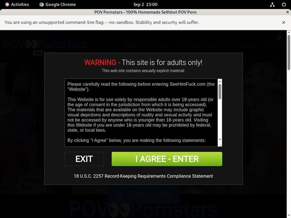 POV Pornstars Billing