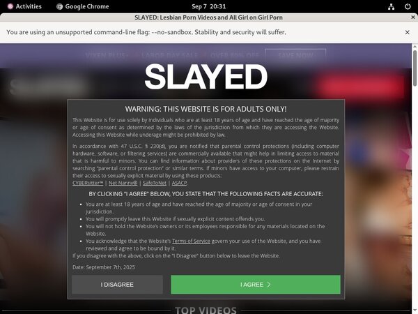 Promo Slayed Free Trial
