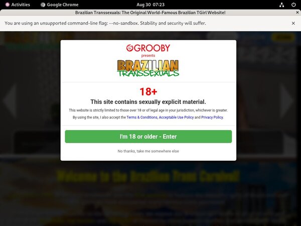 Register For Brazilian Transsexuals