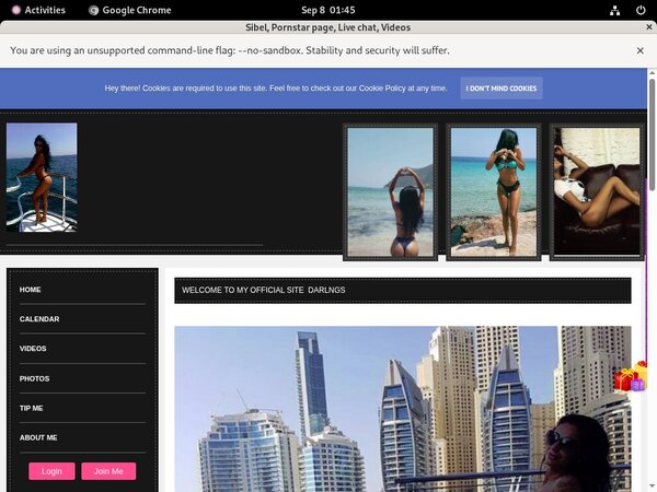 [Image: Sibel-Subscriptions.jpg]