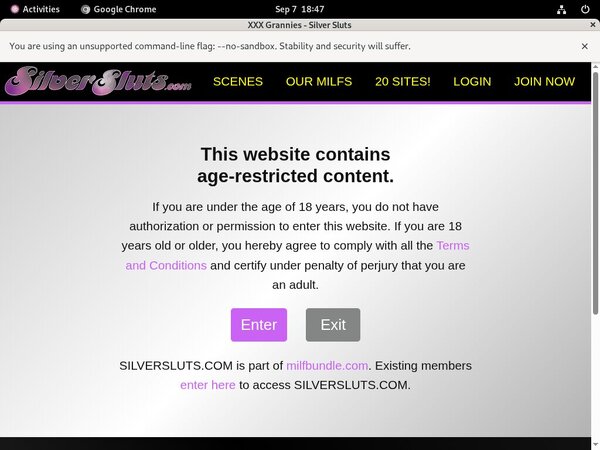 [Image: Silver-Sluts-User-Pass.jpg]