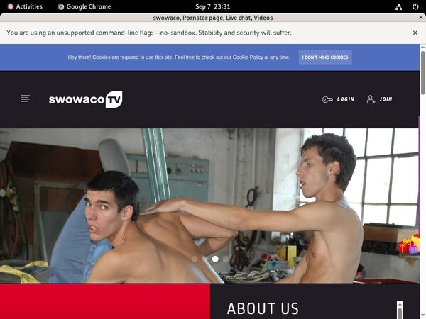 Swowacotv Gay Porn