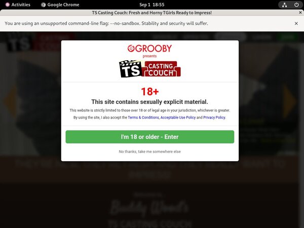 TS Casting Couch Epoch Discount