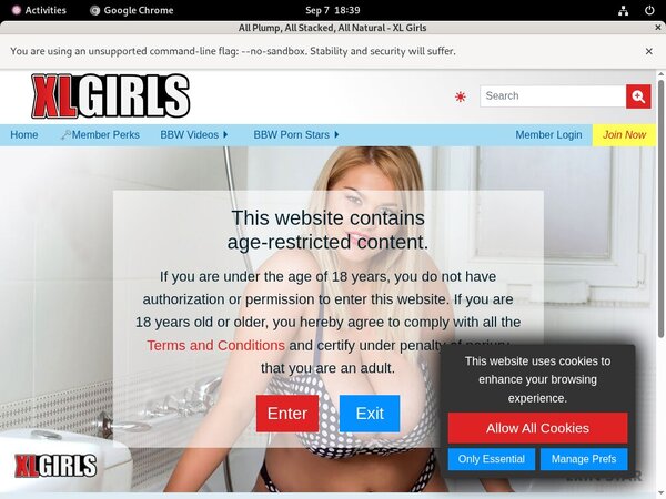 The Breast Of Xlgirls