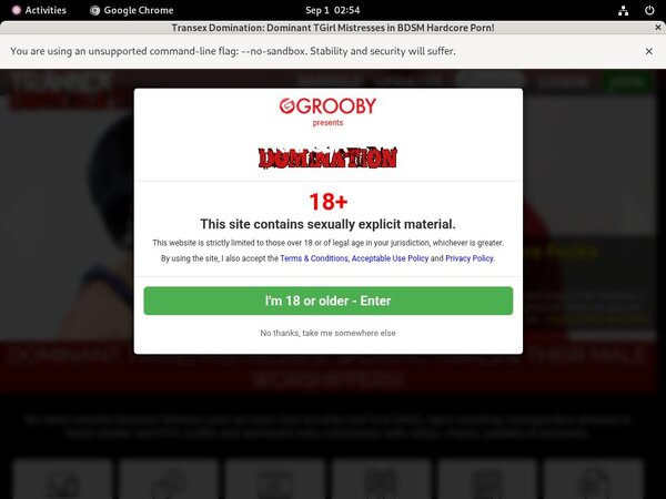 Transex Domination Adult Passwords