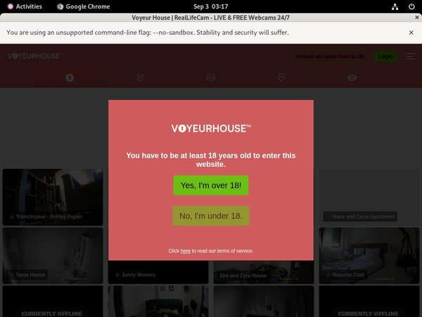 Voyeurhouse.com Gay Sex
