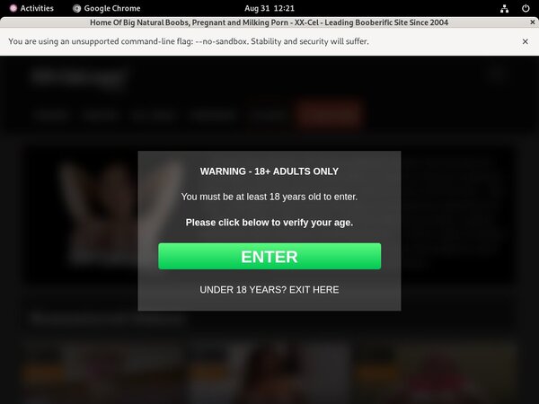 XX-Cel Login Password