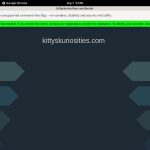 Kitty’sKuriosities By SMS