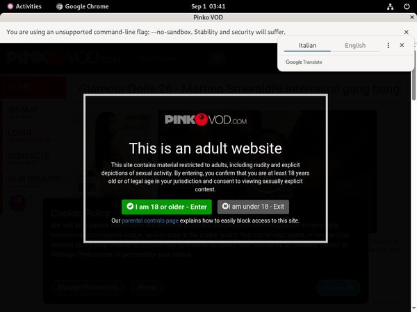 Pinkovod.com Archive