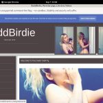 Access BaddBirdie Free